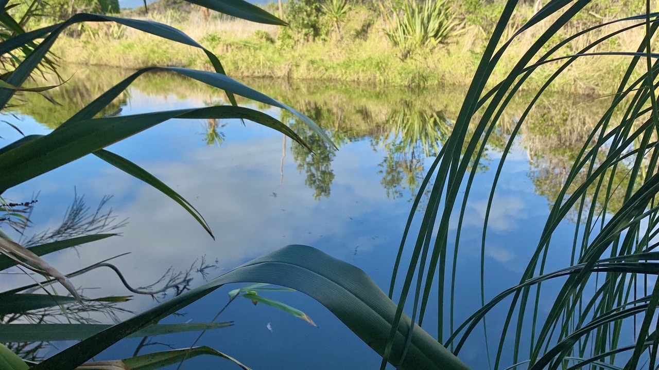 Photo of Outdoor in Otaki Beach