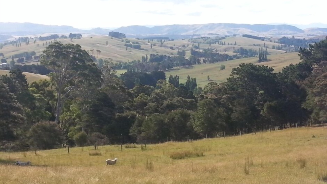 Photo of Others in Wanstead