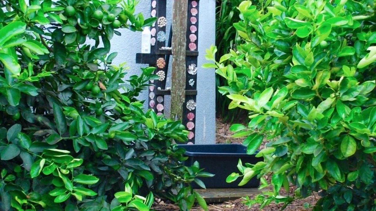 Photo of Outdoor in Whangarei Heads