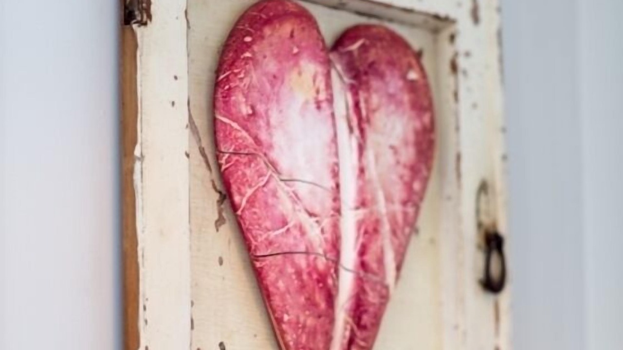 Photo of Others in Whitianga