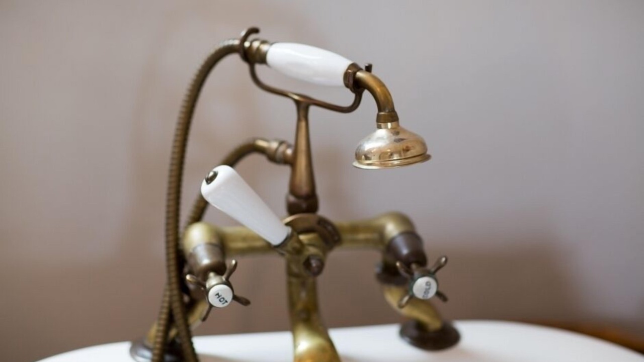 Photo of Others in Whitianga