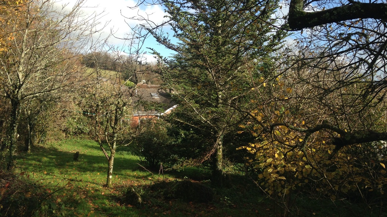 Photo of Outdoor in Newton Abbot