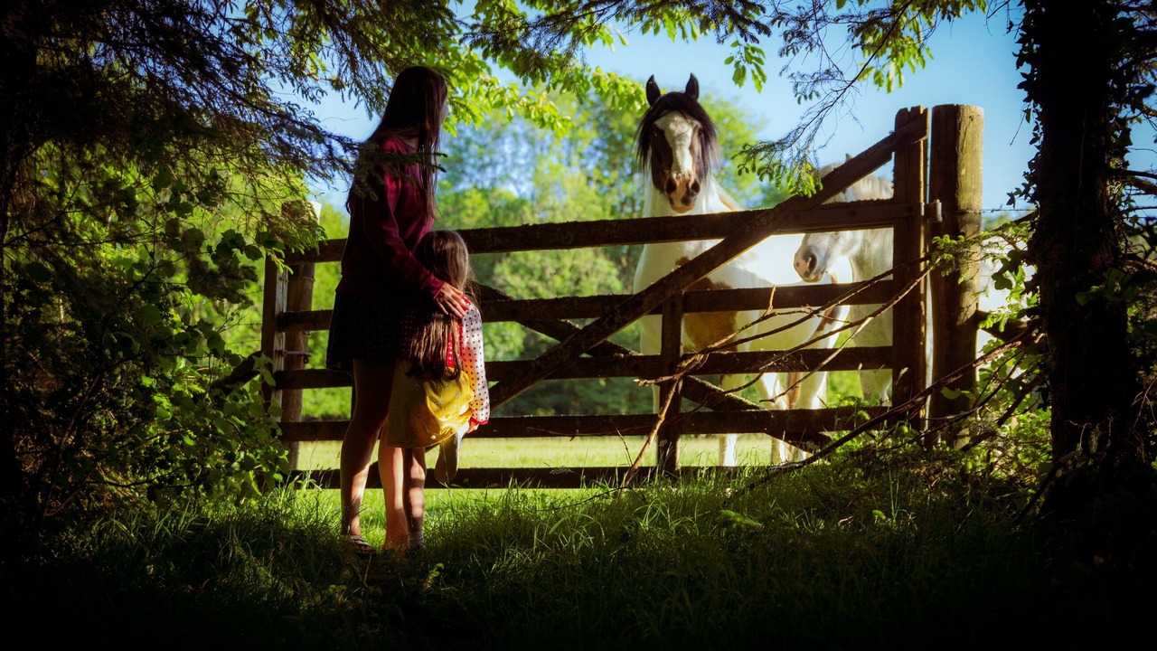 Photo of Outdoor in Newton Abbot