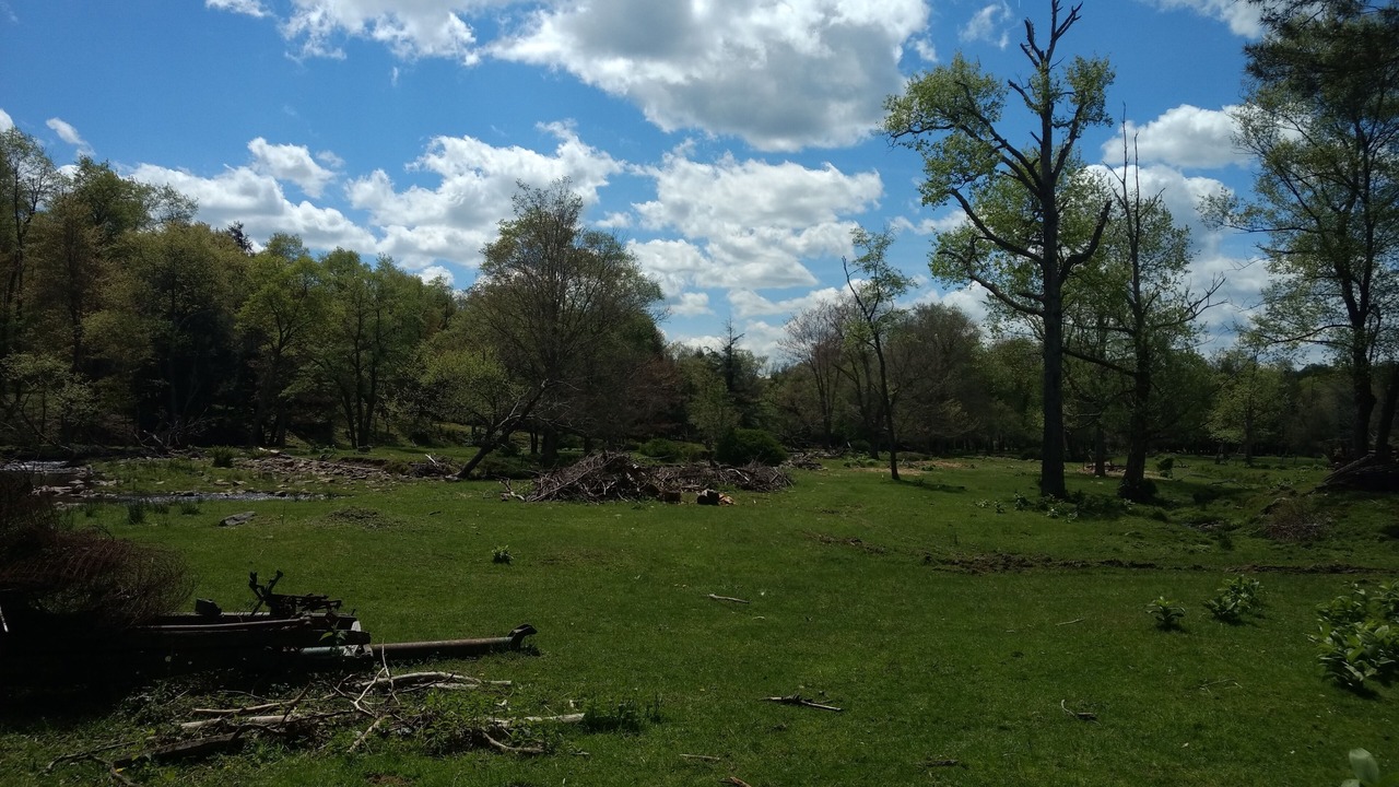 Photo of Outdoor in Mildred