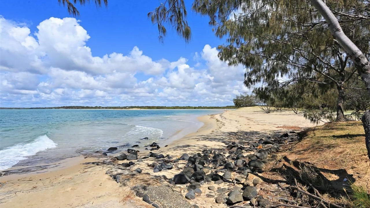 Photo of Others in Elliott Heads