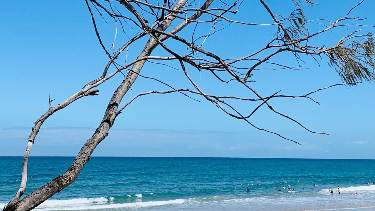 Photo of Others in Elliott Heads