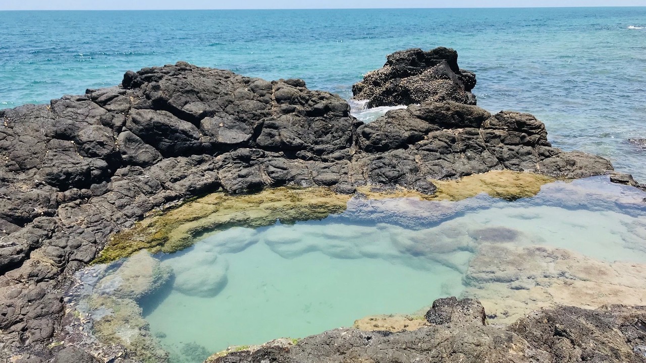 Photo of Others in Elliott Heads