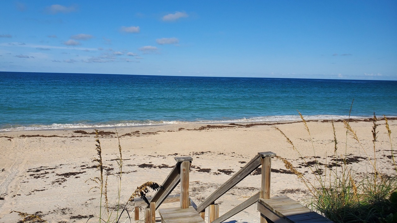Photo of Others in Melbourne Beach