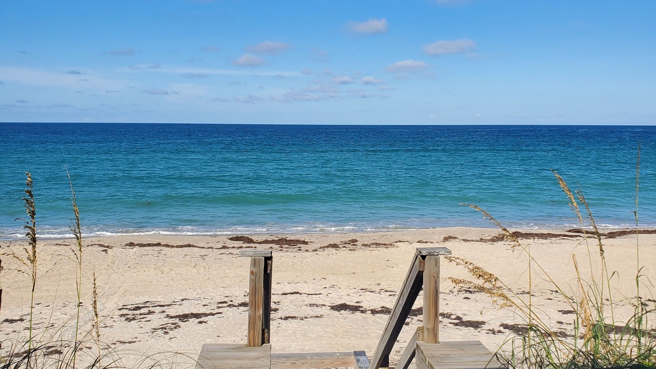 Photo of Others in Melbourne Beach