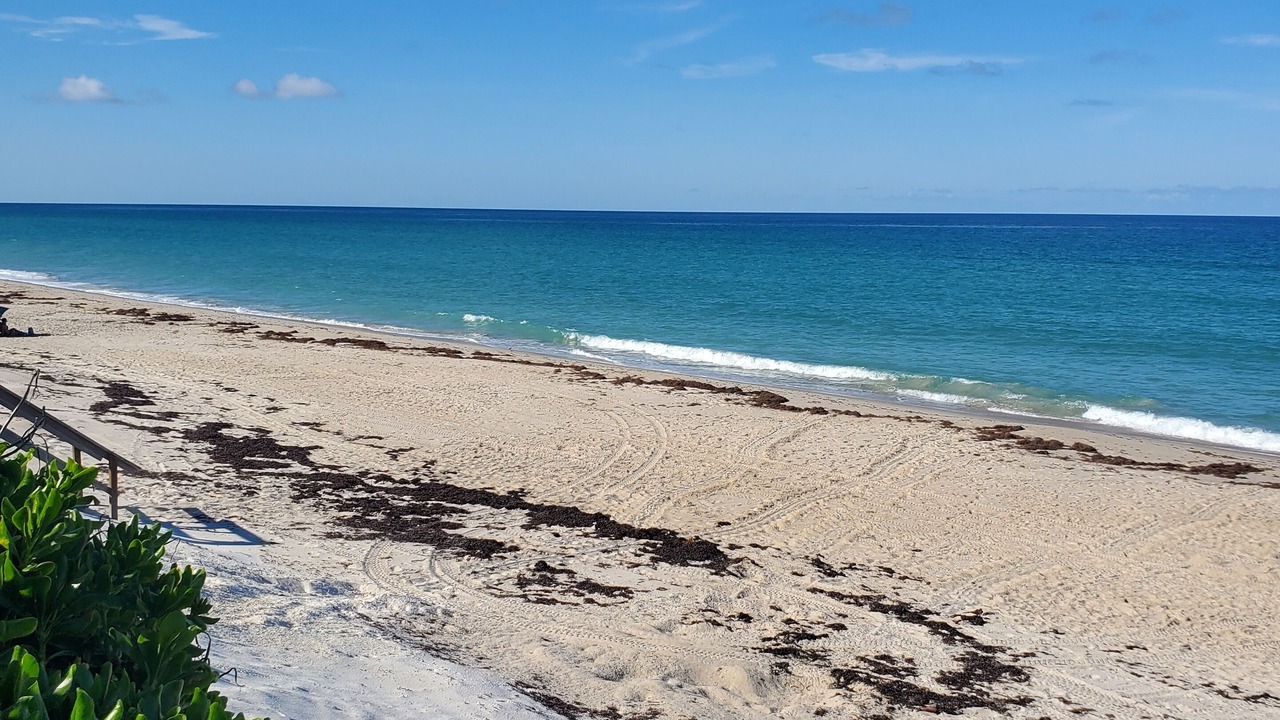 Photo of Others in Melbourne Beach