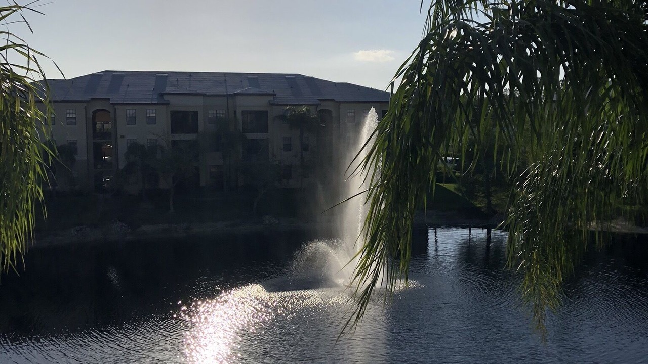 Photo of Outdoor in Naples