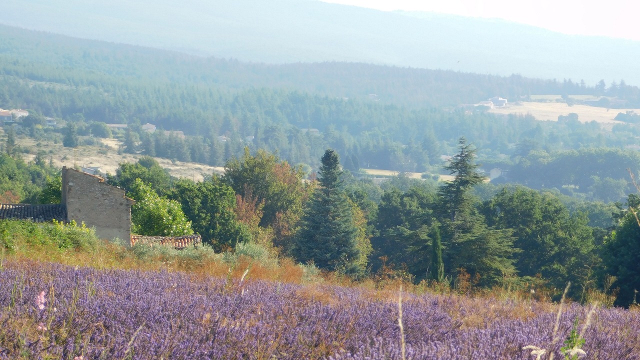 Photo of Outdoor in Saint-Etienne-les-Orgues