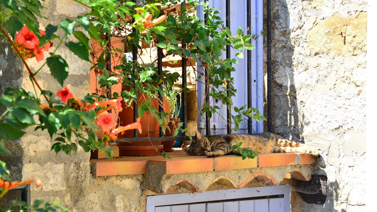Photo of Outdoor in Saint-Etienne-les-Orgues