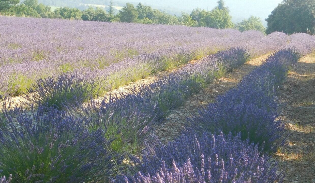 Photo of Outdoor in Saint-Etienne-les-Orgues