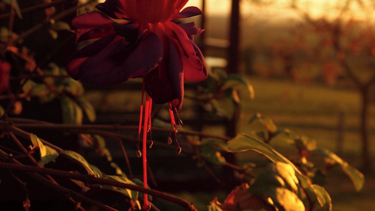 Photo of Others in Saint-Agnan