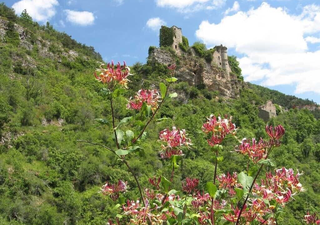 Photo of Outdoor in Saint-Andre-de-Vezines