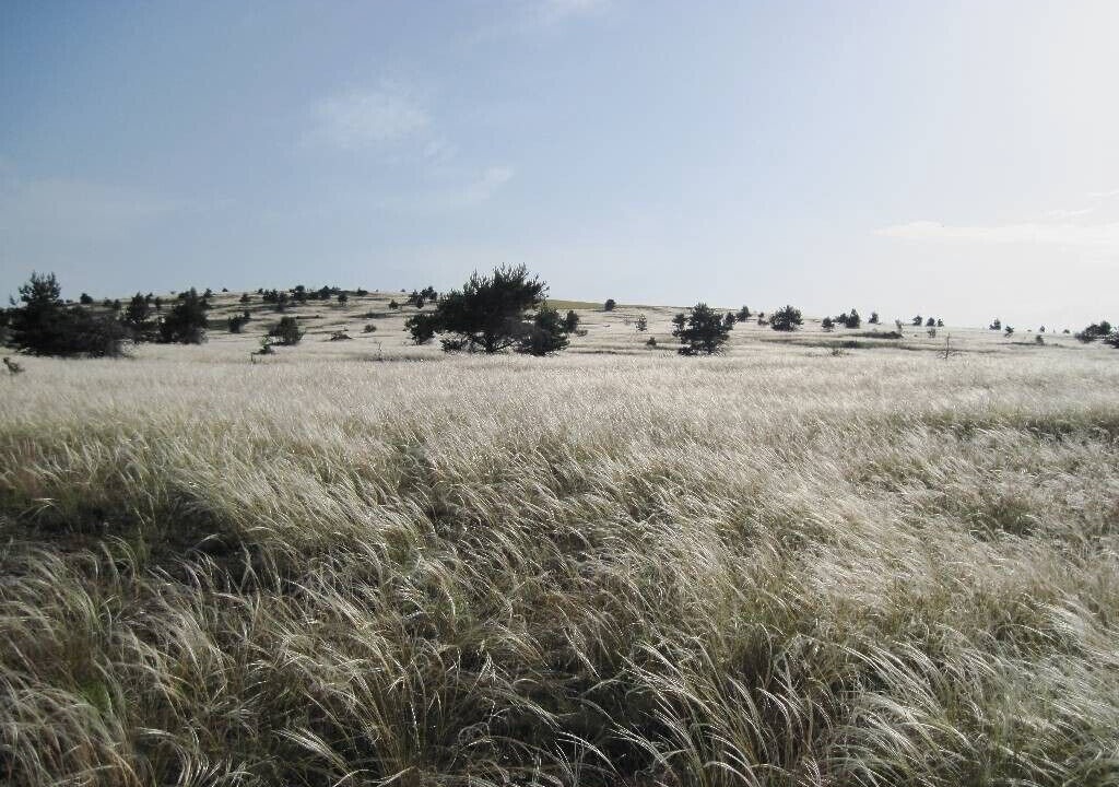 Photo of Others in Saint-Andre-de-Vezines