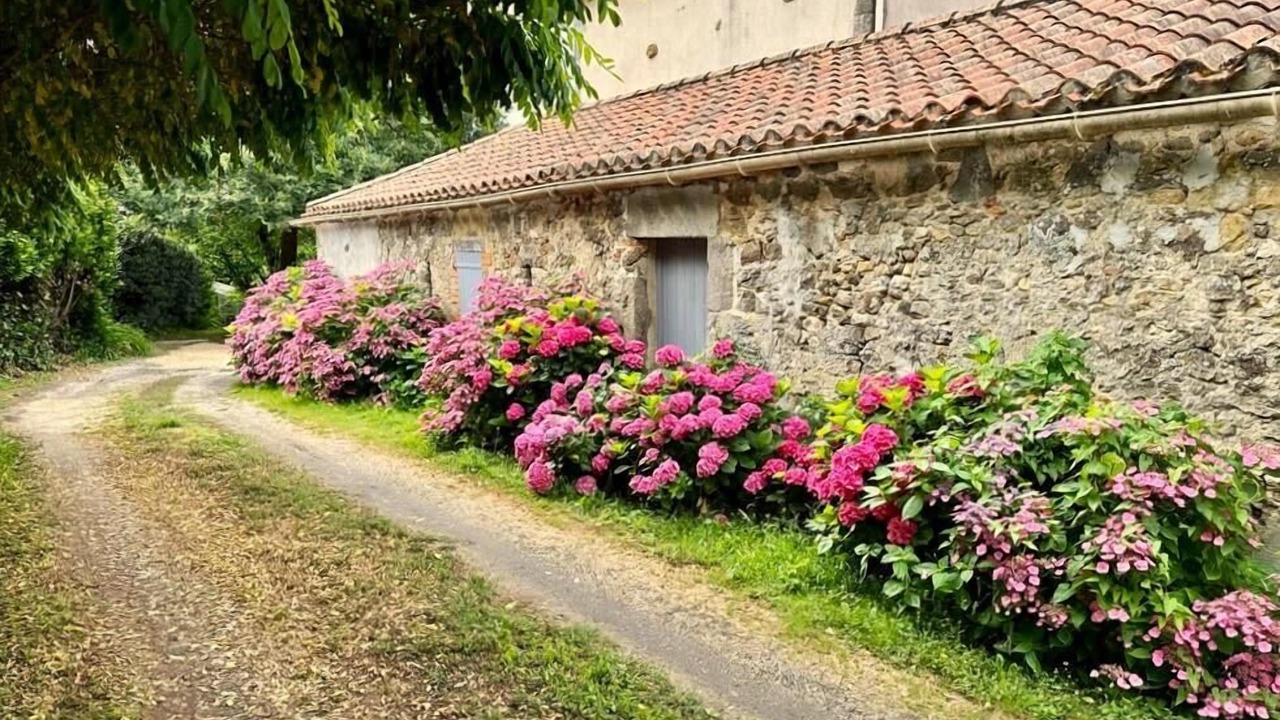 Photo of Outdoor in Avrille
