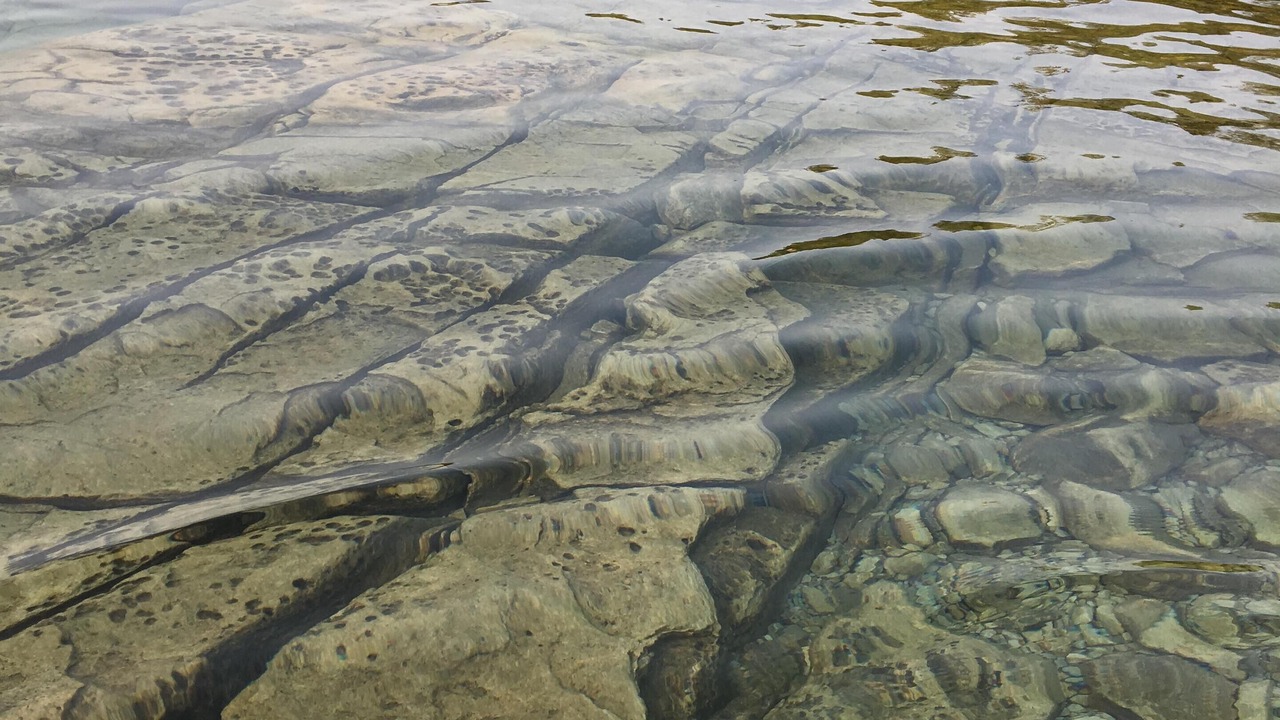 Photo of Others in Tobermory