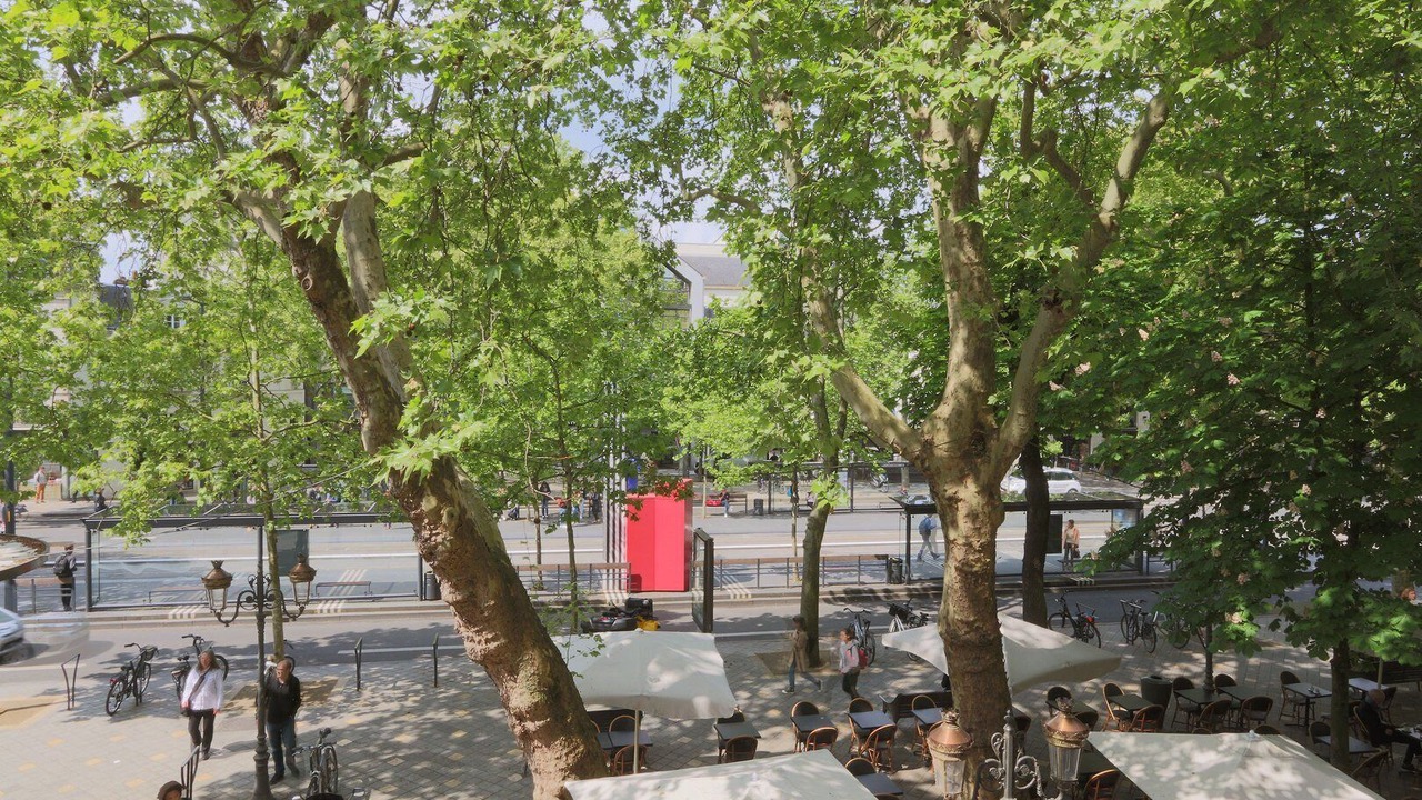 Photo of Outdoor in Tours