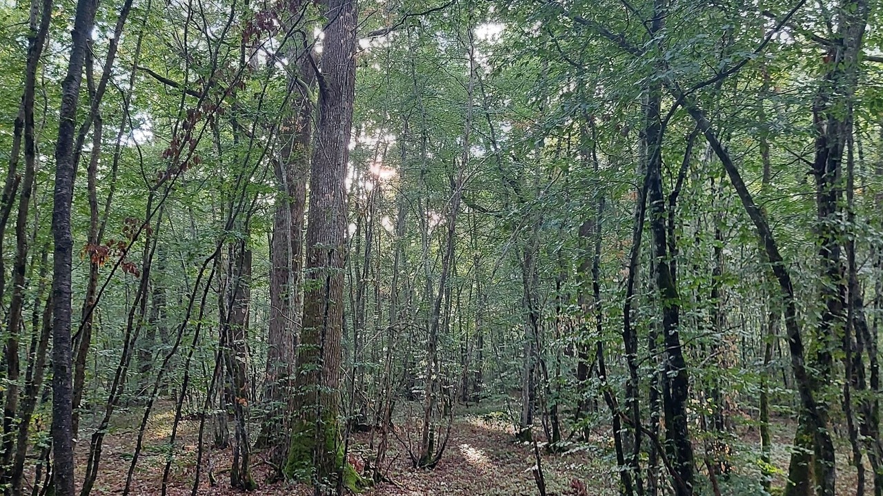 Photo of Outdoor in Vezelay