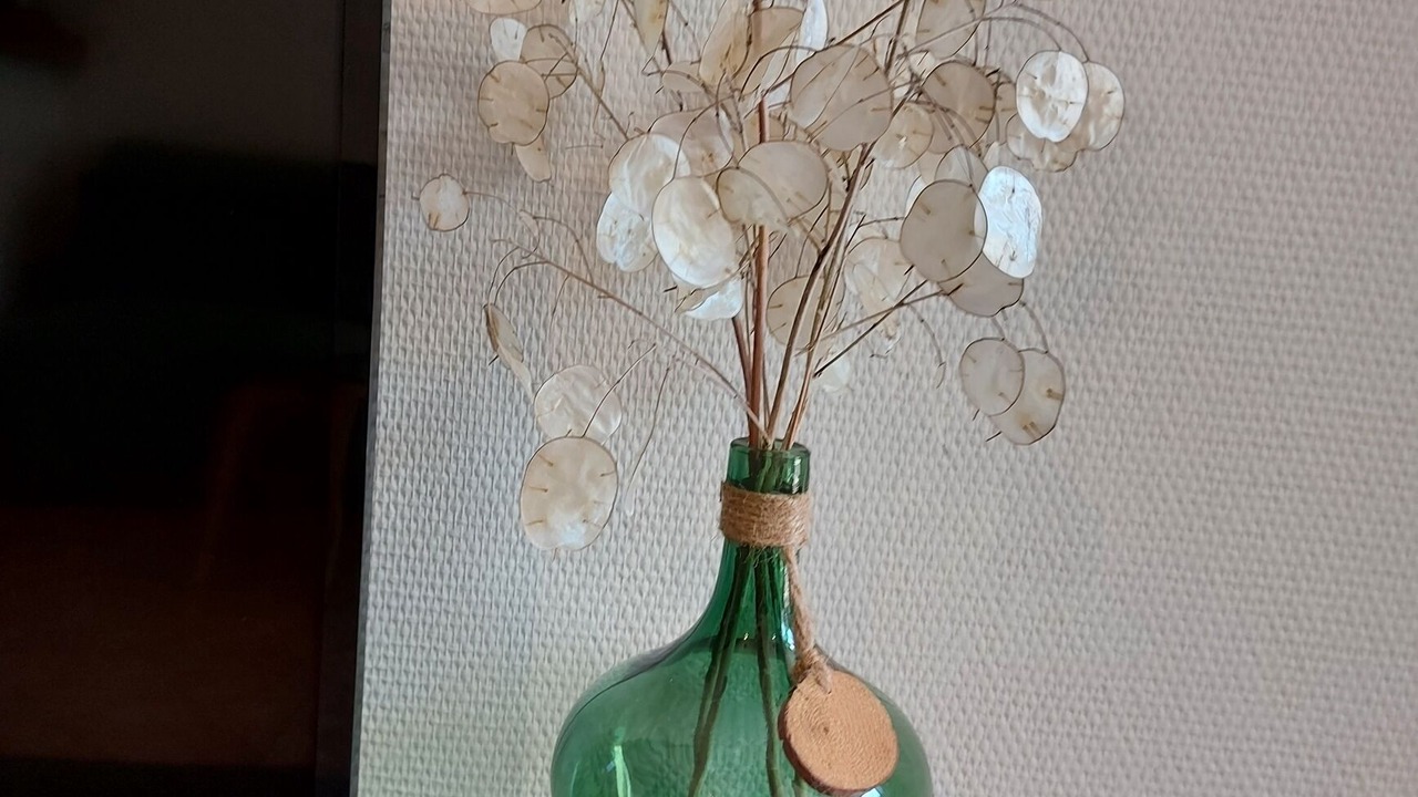 Photo of Others in Vezelay