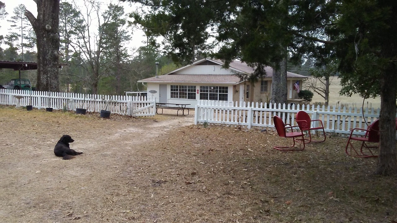 Photo of Outdoor in Curtis