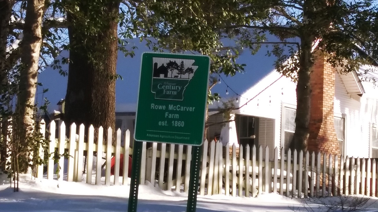 Photo of Others in Curtis