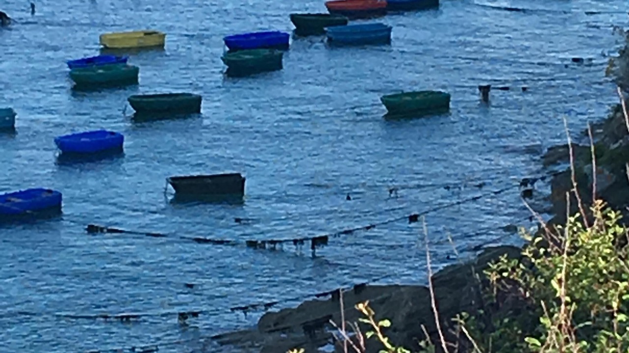 Photo of Others in Saint-Lunaire