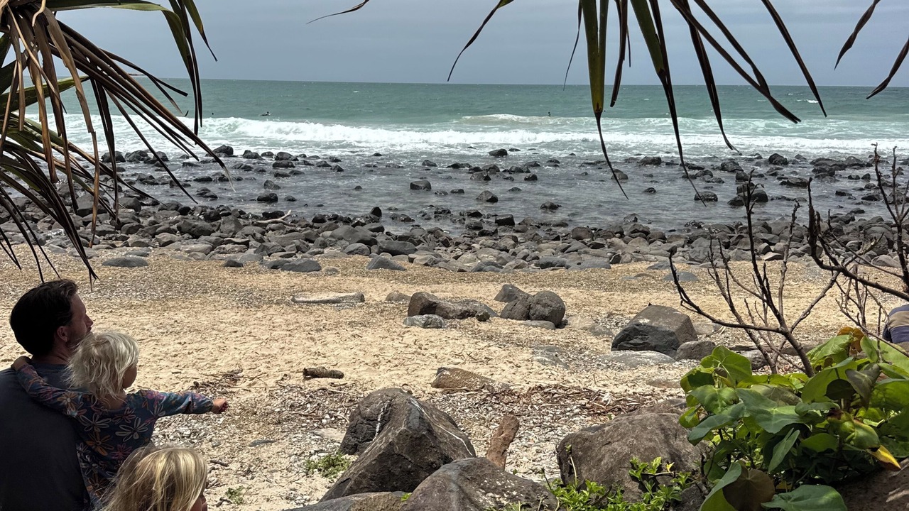 Photo of Others in Miami