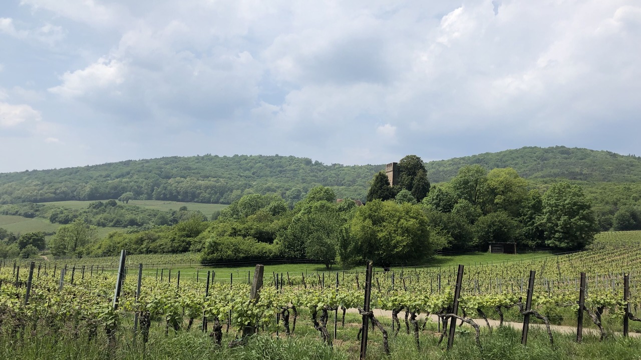 Photo of Outdoor in Wissembourg