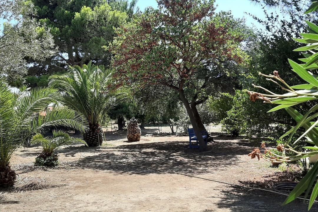 Photo of Outdoor in Salses-le-Chateau
