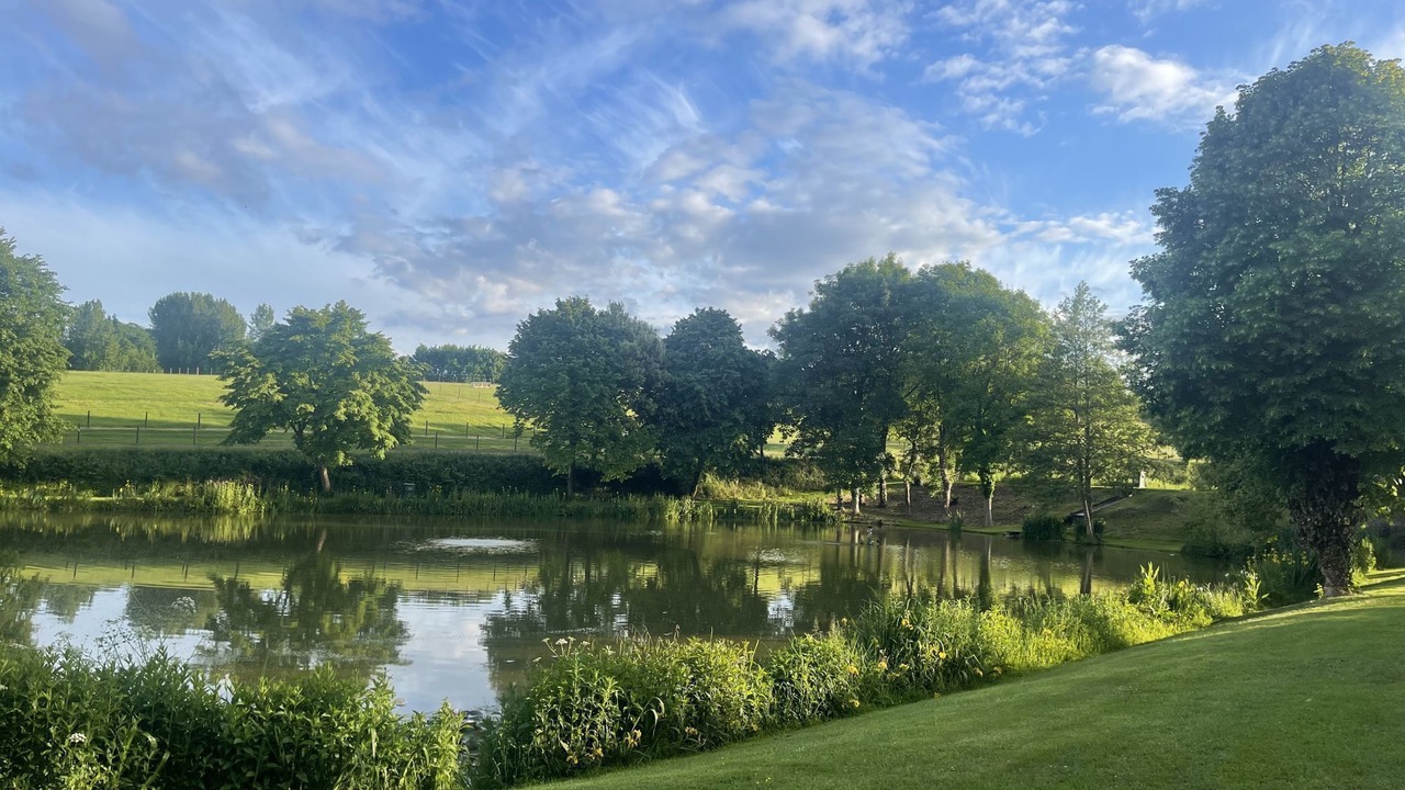 Photo of Others in Exeter