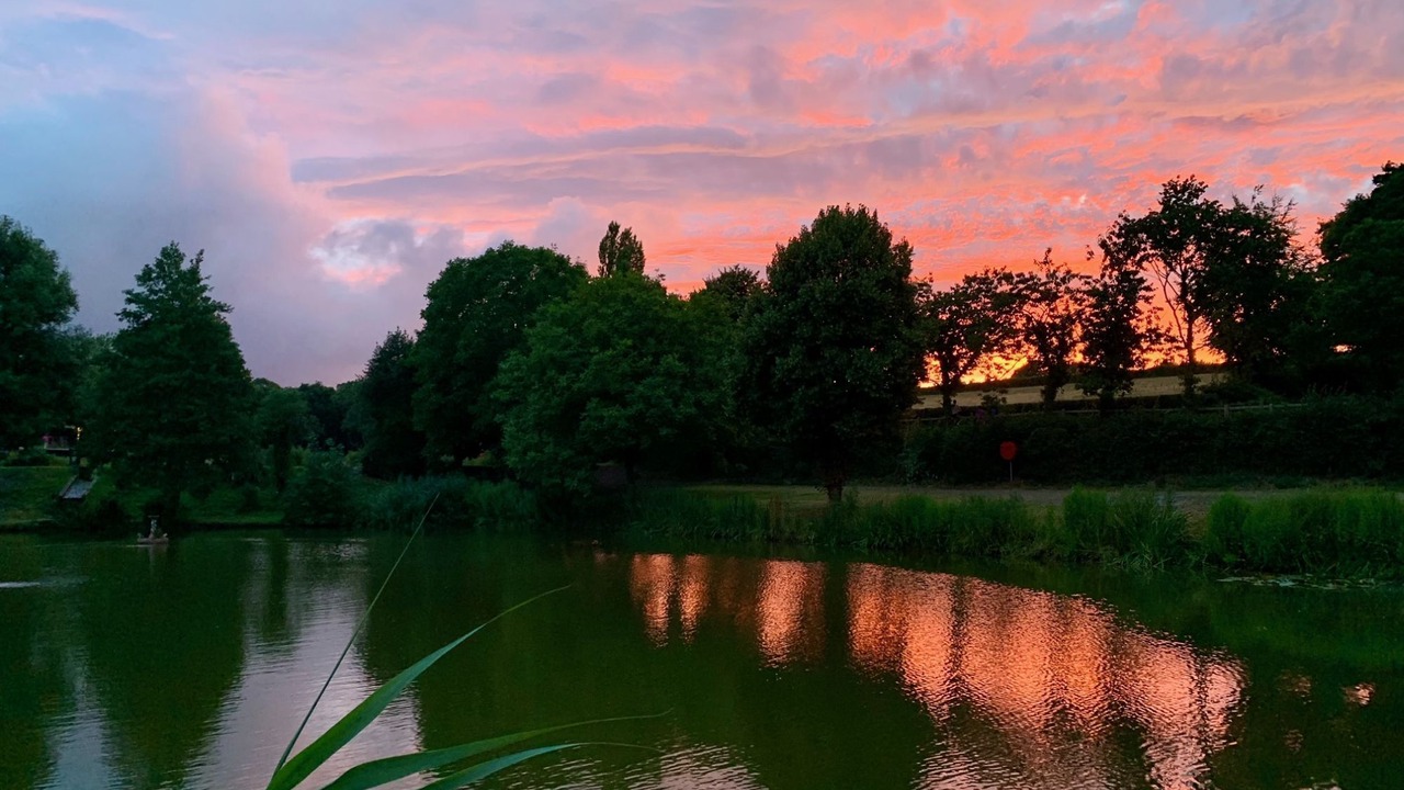 Photo of Others in Exeter