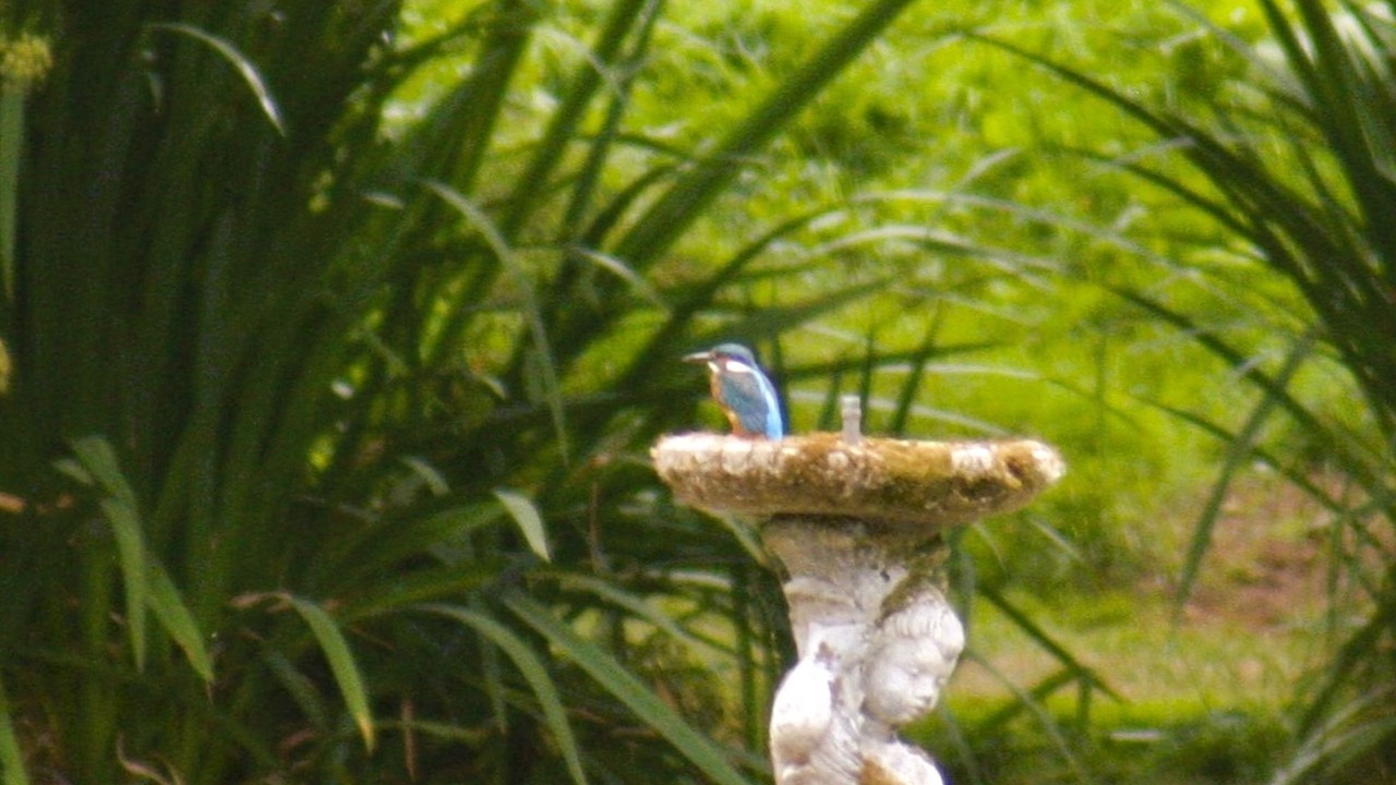 Photo of Outdoor in Exeter