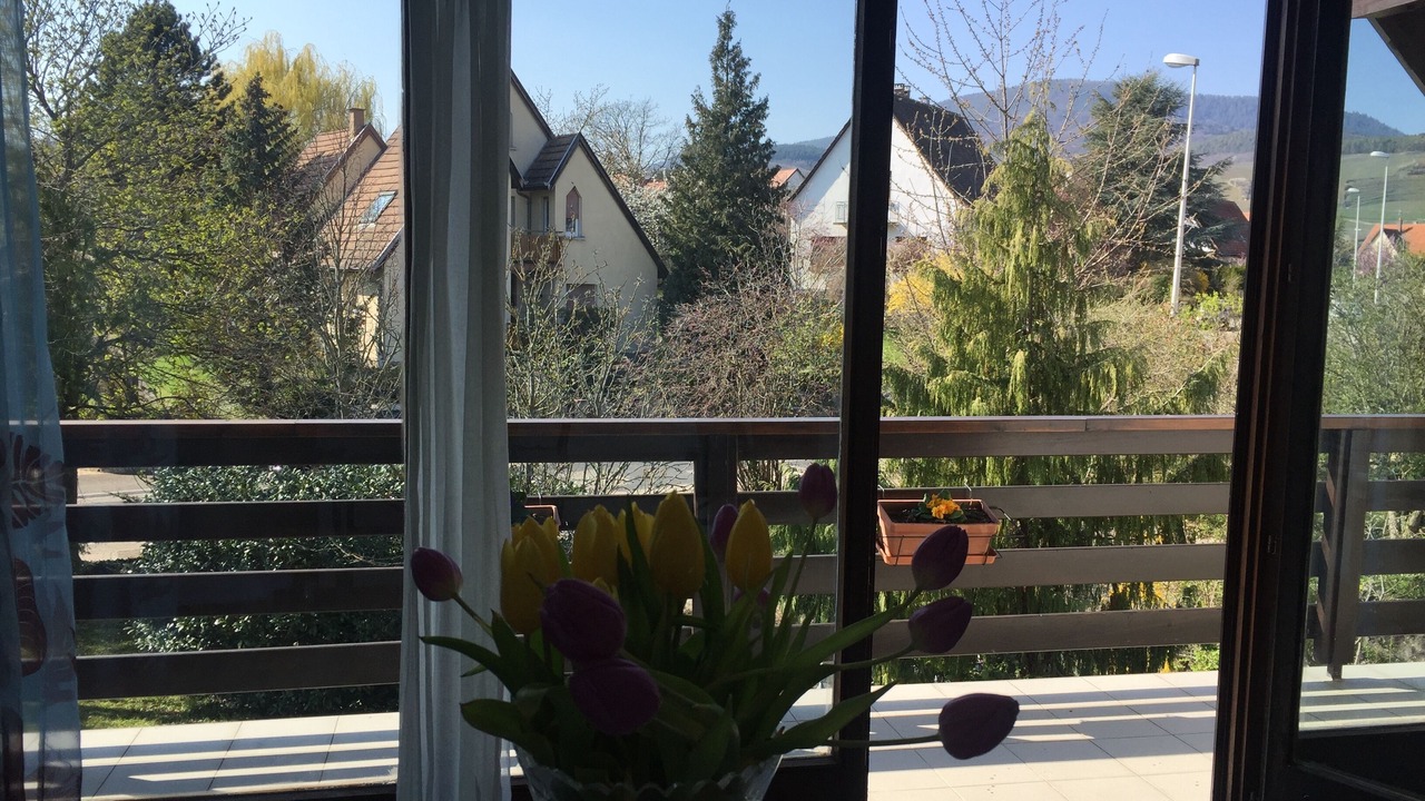 Photo of Others in Barr