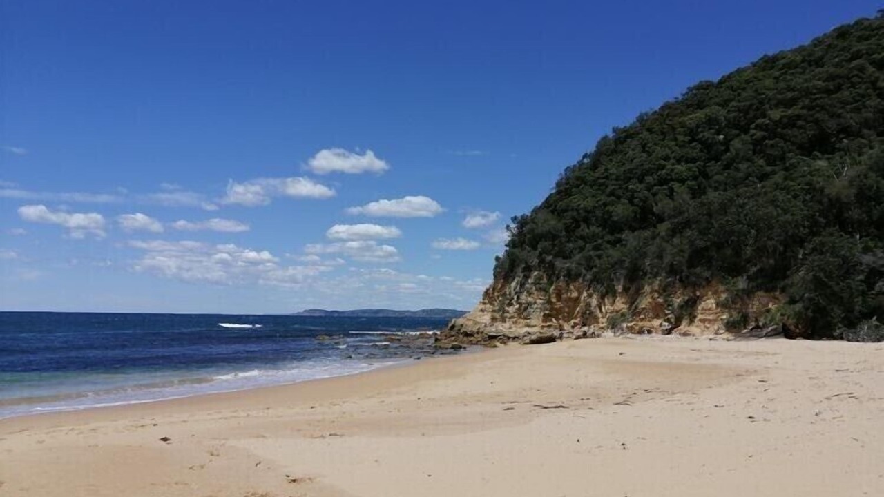 Photo of Others in Point Clare