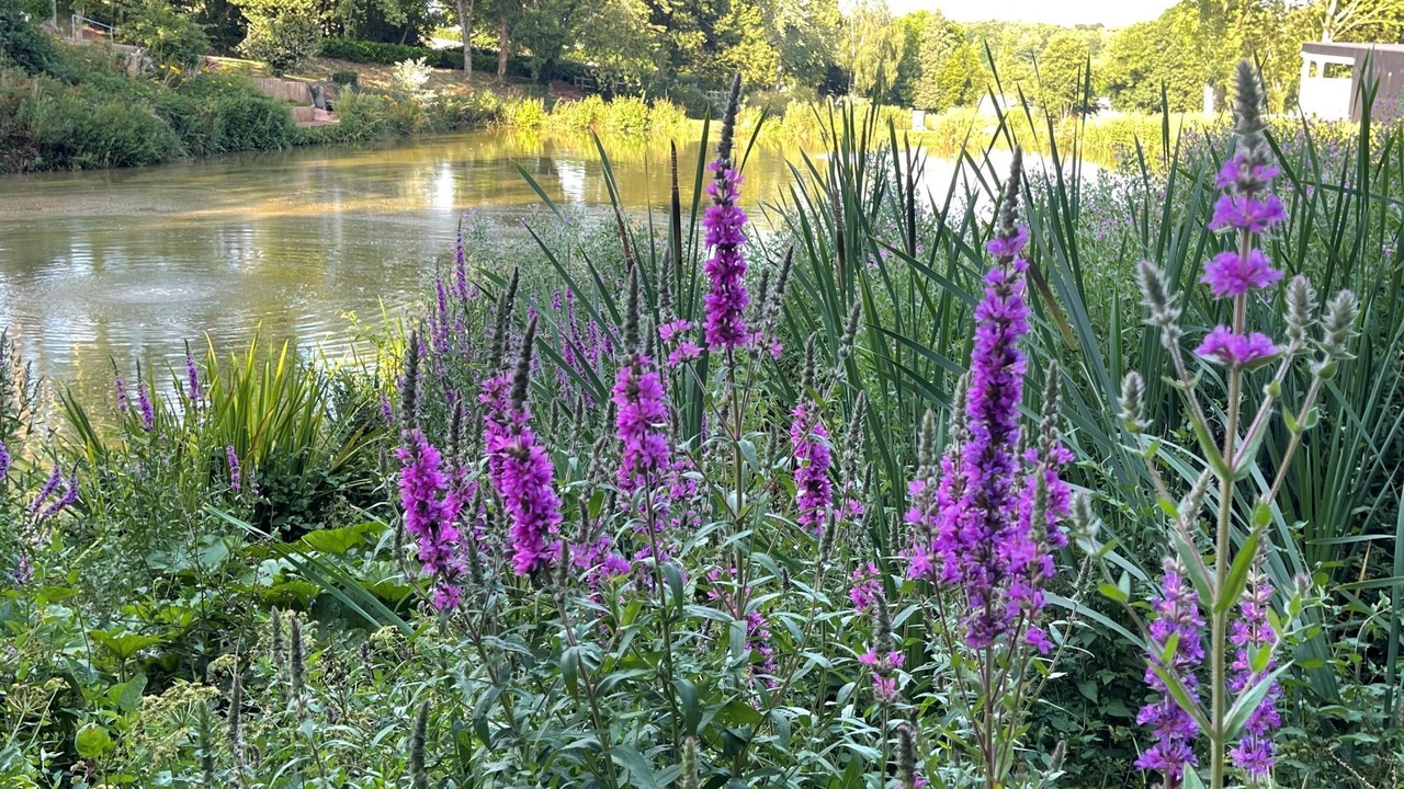 Photo of Outdoor in Exeter