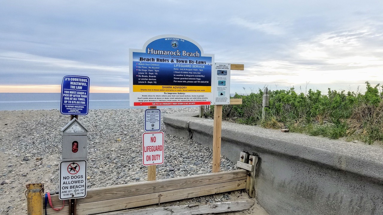 Photo of Others in Humarock