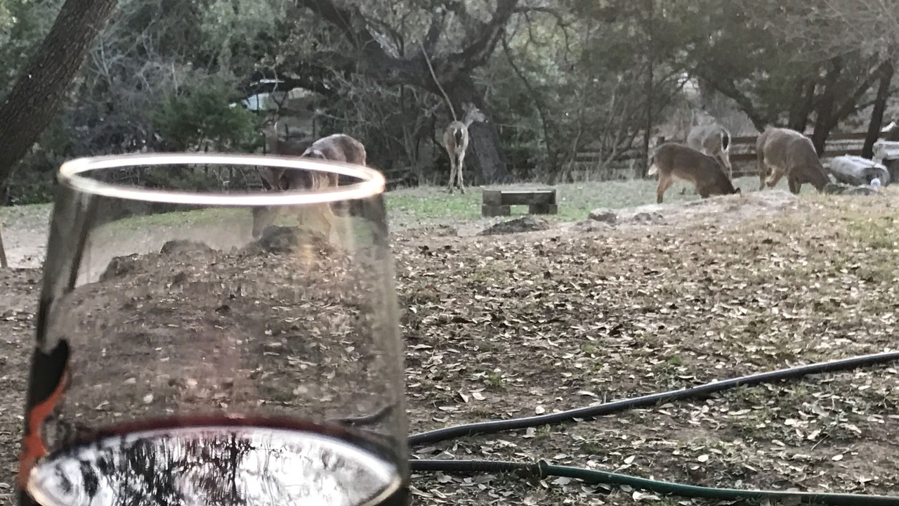Photo of Outdoor in Wimberley
