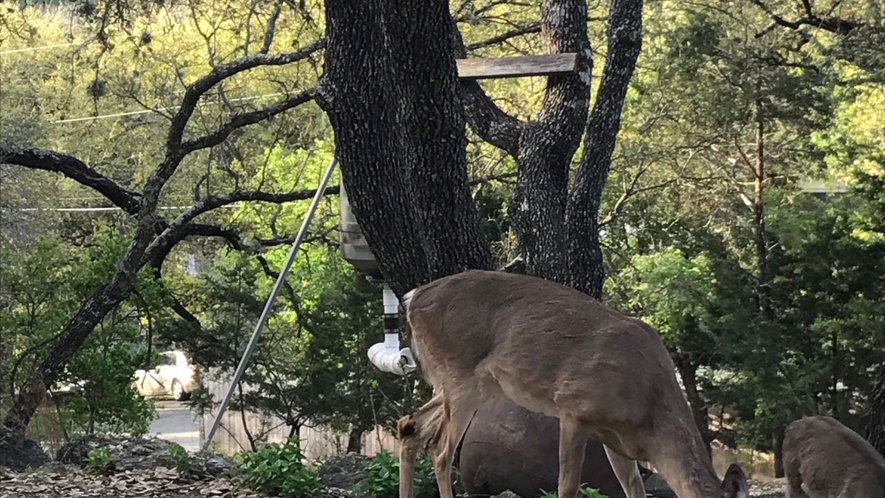 Photo of Others in Wimberley
