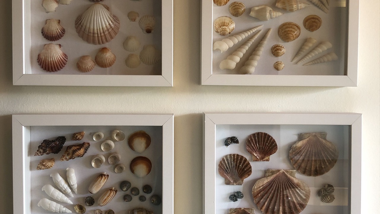 Photo of Others in Jan Juc