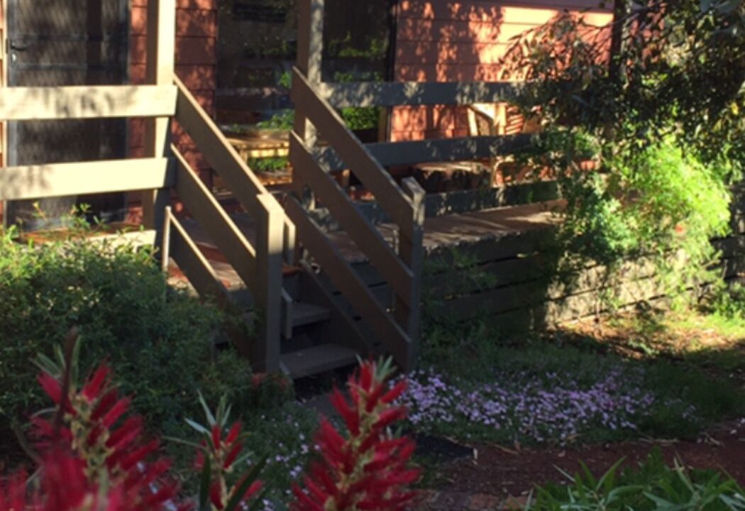 Photo of Others in Jan Juc