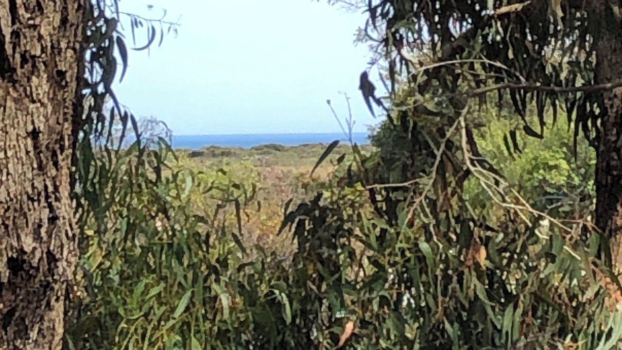 Photo of Others in Jan Juc