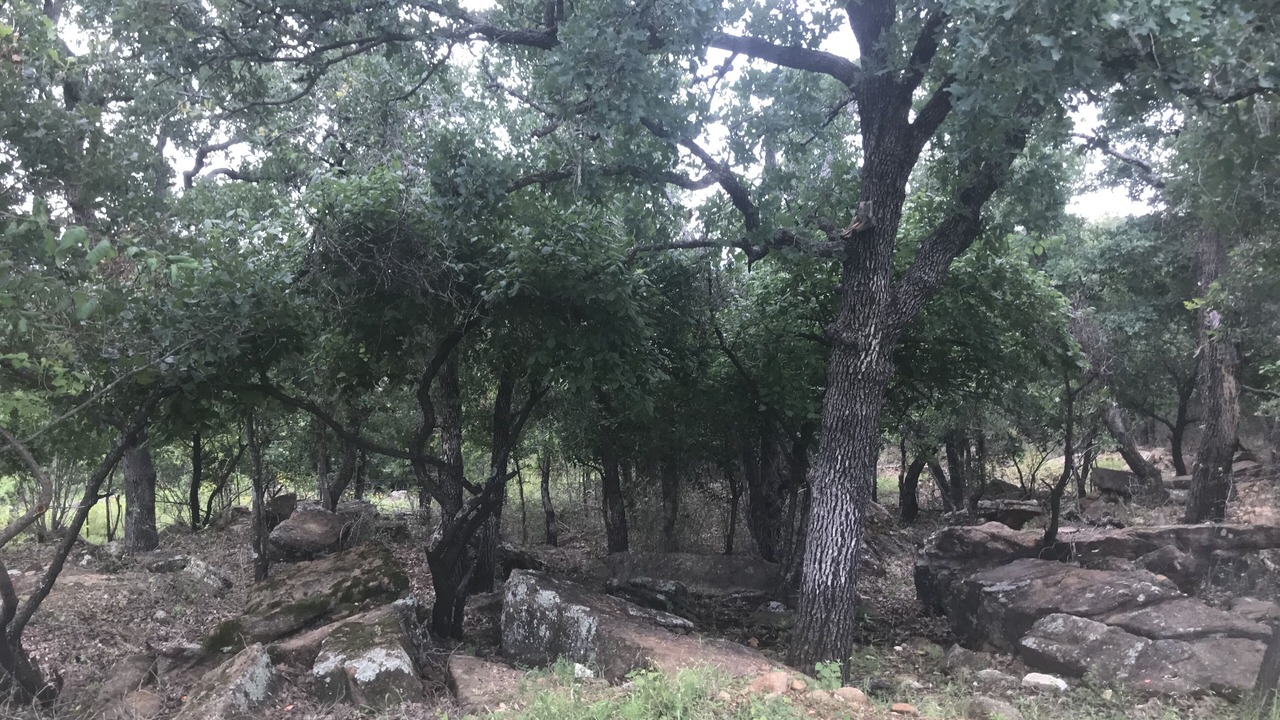 Photo of Outdoor in Graham