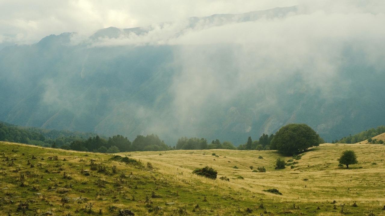 Photo of Others in Bagneres-de-Luchon