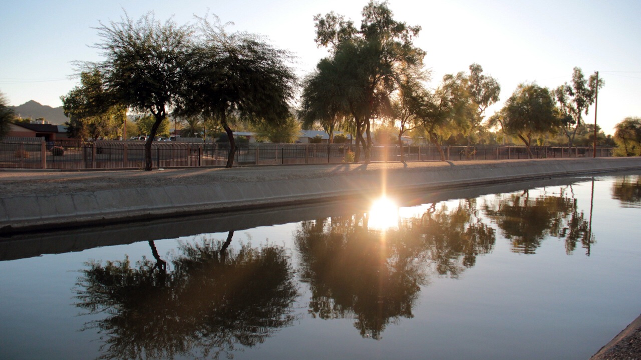 Photo of Others in South Scottsdale