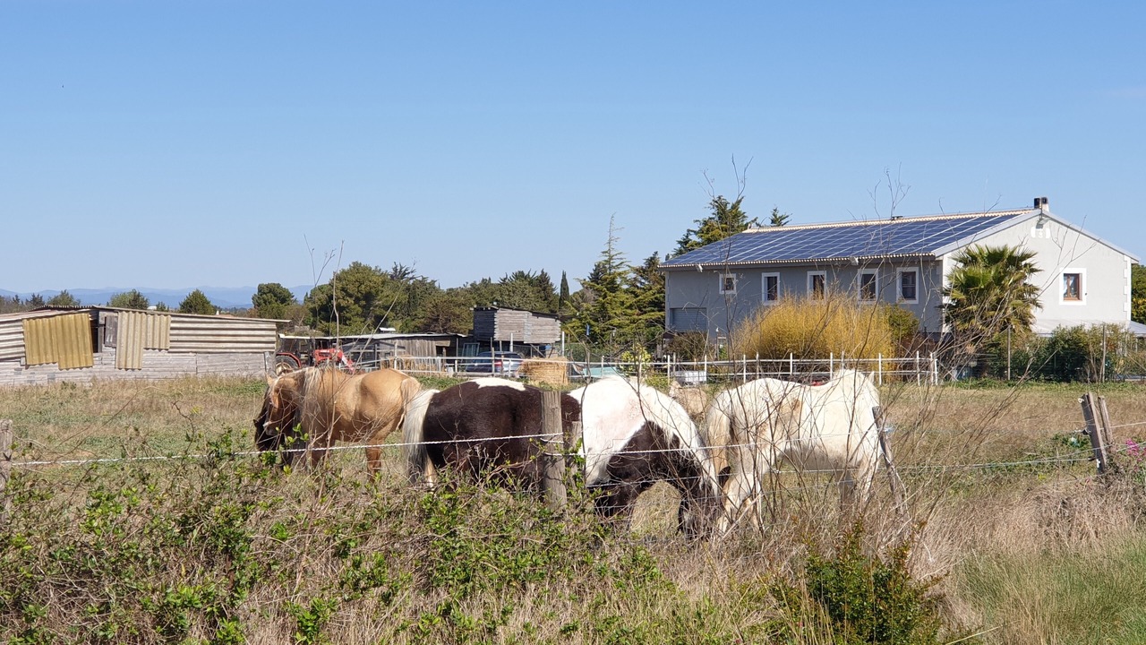 Photo of Outdoor in Villeneuve-les-Maguelone