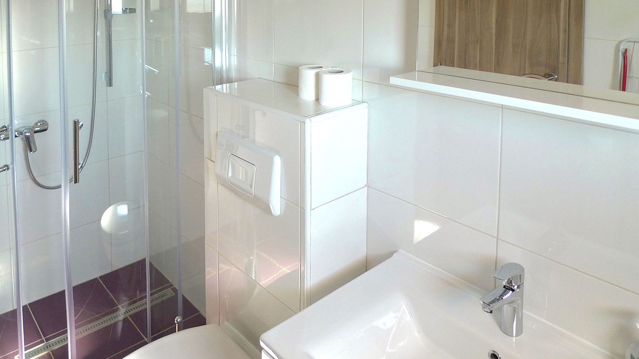 Photo of Bathroom in Olib