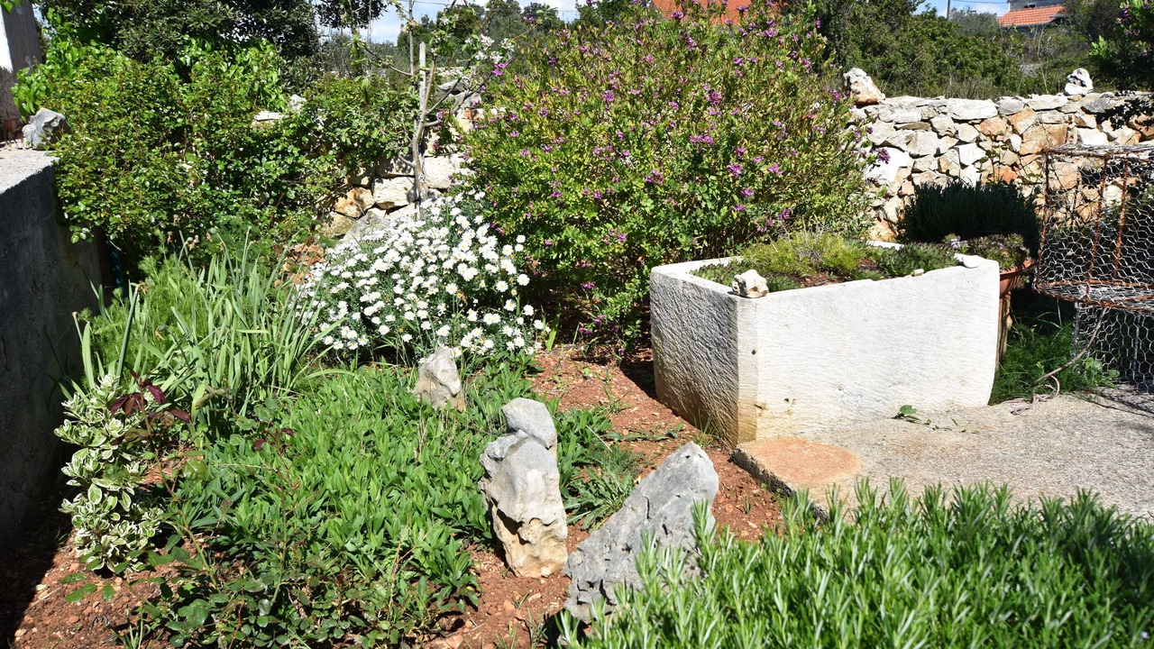 Photo of Outdoor in Olib